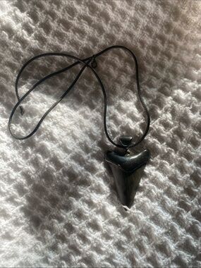 Shark Tooth Pendant Necklace in Black Sterling